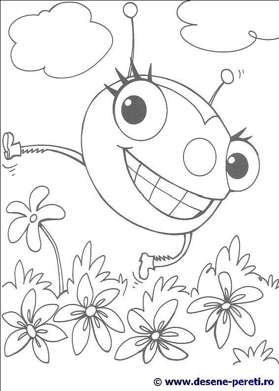 miss spider desene colorat